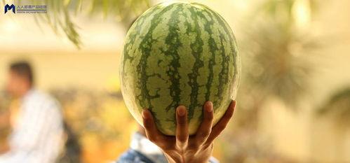 娱乐圈的瓜哪里吃 第3张 娱乐圈的瓜哪里吃 第3张