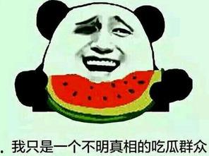 在线观看吃瓜群众视频,在线观看吃瓜视频背后的现象解析